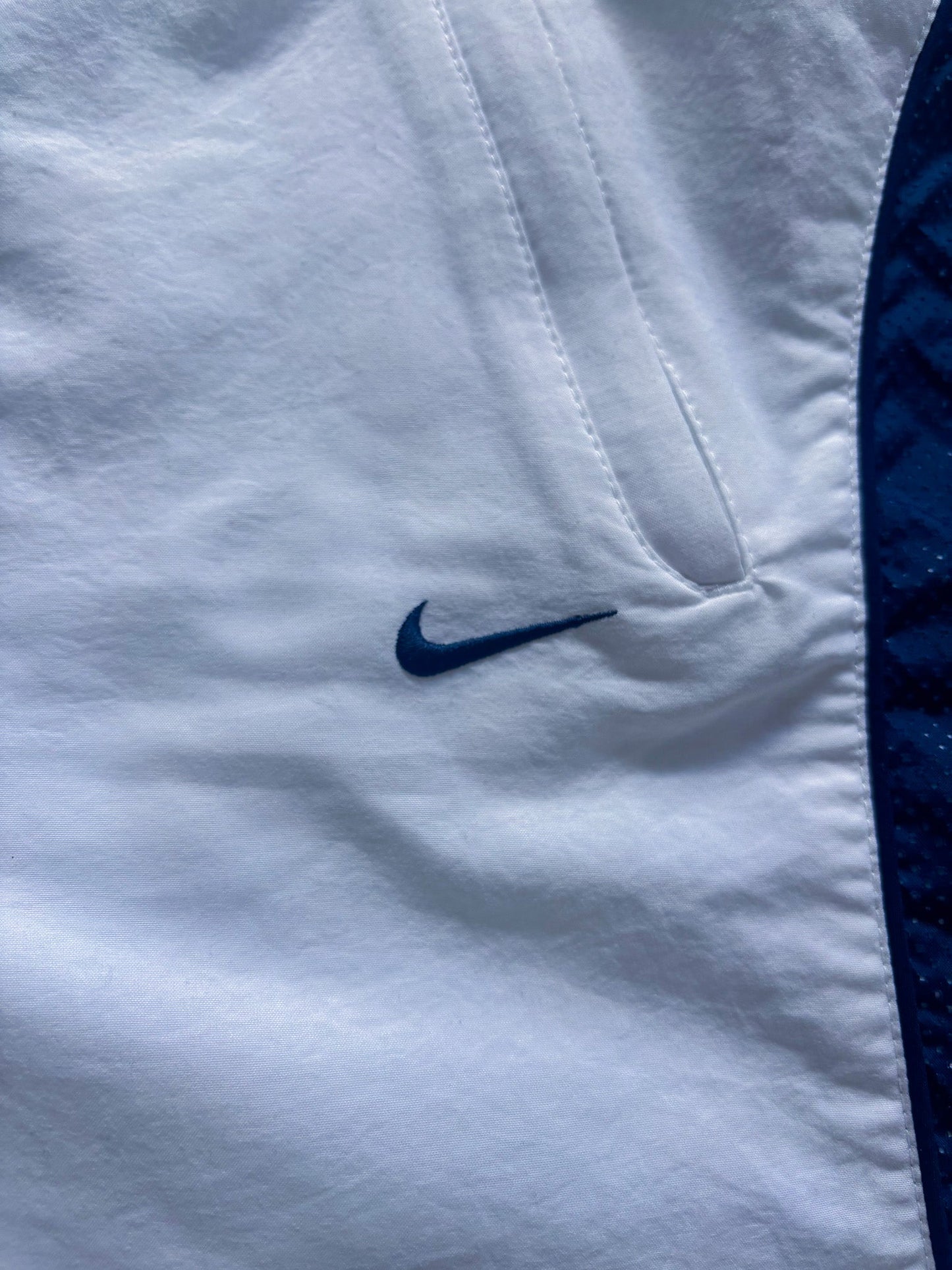 Nike Vintage Shorts | L